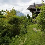 Horská chata Paradise View - 5 Bedroom Gstaad Paradise View With Outdoor Jacuzzi Rougemont