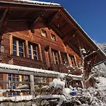 Paradise View - 5 Bedroom Gstaad Paradise View Chalet With Outdoor Jacuzzi