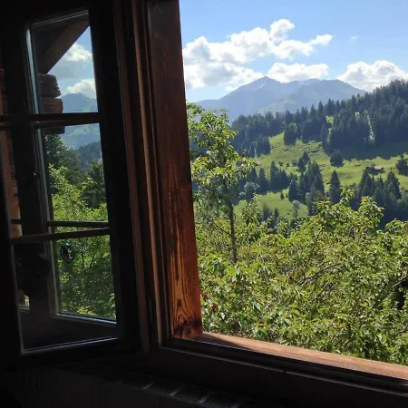 Paradise View - 5 Bedroom Gstaad Paradise View With Outdoor Jacuzzi Rougemont