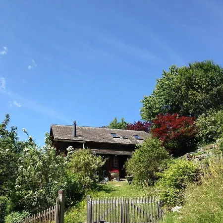 Chalet Gstaad Paradise View With Jacuzzi *