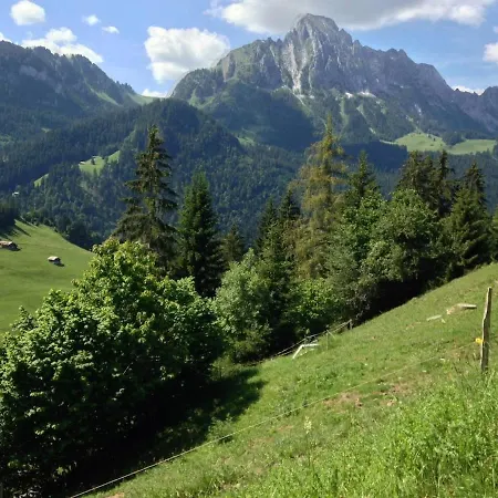 Paradise View - 5 Bedroom Gstaad Paradise View With Outdoor Jacuzzi * Rougemont