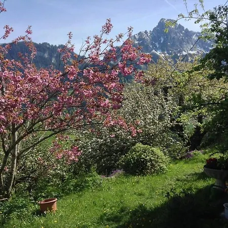木屋 Paradise View - 5 Bedroom Gstaad Paradise View With Outdoor Jacuzzi Rougemont