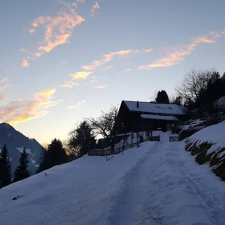 Paradise View - 5 Bedroom Gstaad Paradise View With Outdoor Jacuzzi 木屋 *