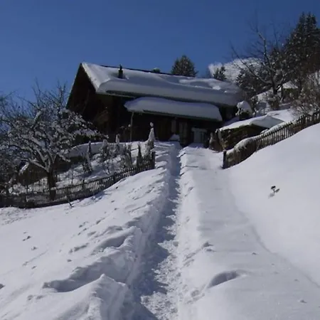 Paradise View - 5 Bedroom Gstaad Paradise View With Outdoor Jacuzzi 木屋 Rougemont