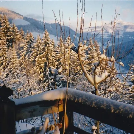 Paradise View - 5 Bedroom Gstaad Paradise View With Outdoor Jacuzzi * Rougemont