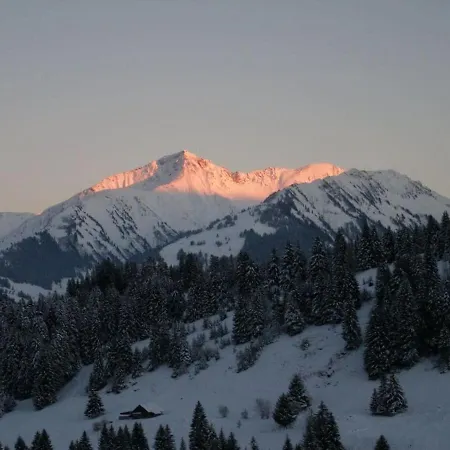Gstaad Paradise View With Jacuzzi *