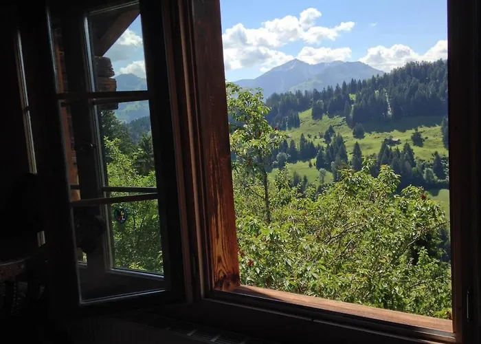 Paradise View - 5 Bedroom Gstaad Paradise View Chalet With Outdoor Jacuzzi Rougemont