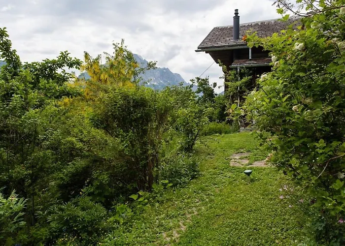 Chalet Paradise View - 5 Bedroom Gstaad Paradise View Chalet With Outdoor Jacuzzi Rougemont