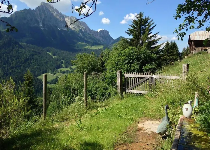 Gstaad Paradise View With Jacuzzi *