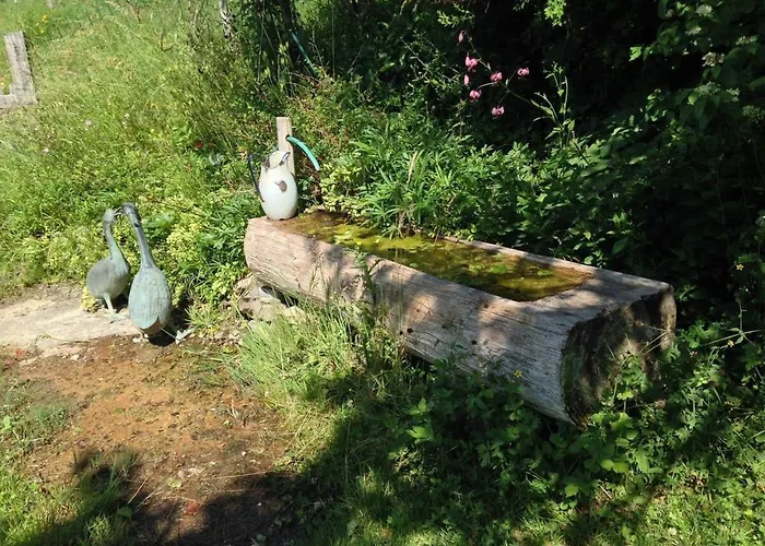 Paradise View - 5 Bedroom Gstaad Paradise View Chalet With Outdoor Jacuzzi Rougemont