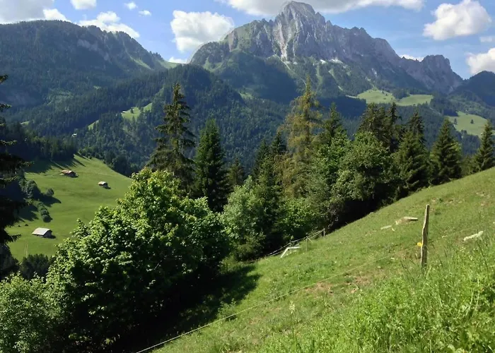 Paradise View - 5 Bedroom Gstaad Paradise View Chalet With Outdoor Jacuzzi * Rougemont