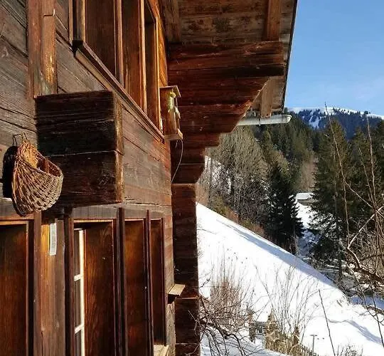 Gstaad Paradise View With Jacuzzi *