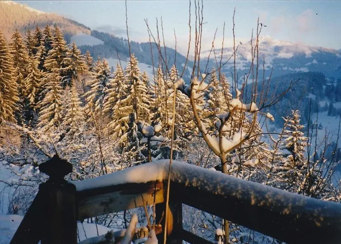 Paradise View - 5 Bedroom Gstaad Paradise View Chalet With Outdoor Jacuzzi * Rougemont