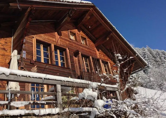 Paradise View - 5 Bedroom Gstaad Paradise View Chalet With Outdoor Jacuzzi