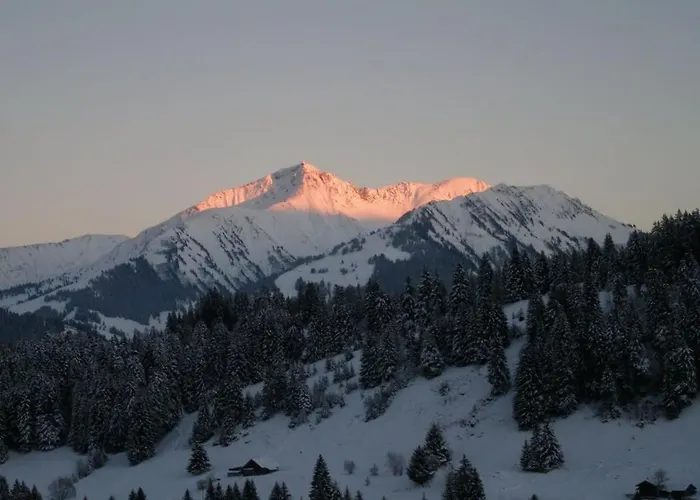 Paradise View - 5 Bedroom Gstaad Paradise View Chalet With Outdoor Jacuzzi *