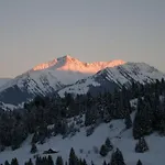 Paradise View - 5 Bedroom Gstaad Paradise View Chalet With Outdoor Jacuzzi *