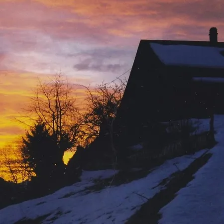 Gstaad Paradise View With Jacuzzi *