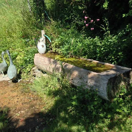 Gstaad Paradise View With Jacuzzi Ружмон