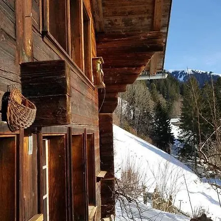 Gstaad Paradise View With Jacuzzi *