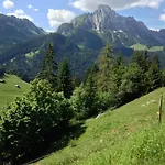 Paradise View - 5 Bedroom Gstaad Paradise View With Outdoor Jacuzzi * Rougemont
