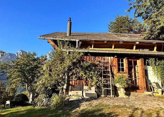 Gstaad Paradise View With Jacuzzi * Rougemont