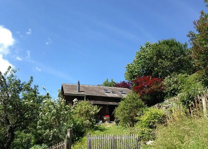 Domek alpejski Gstaad Paradise View With Jacuzzi *