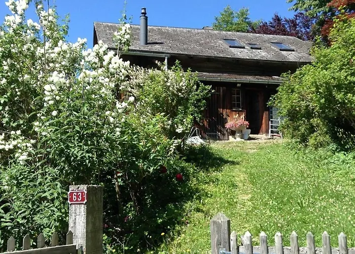 Gstaad Paradise View With Jacuzzi Domek alpejski Rougemont